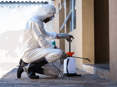 About Rodent Exclusion Tigertail Beach - rodent exclusion experts in Tigertail Beach