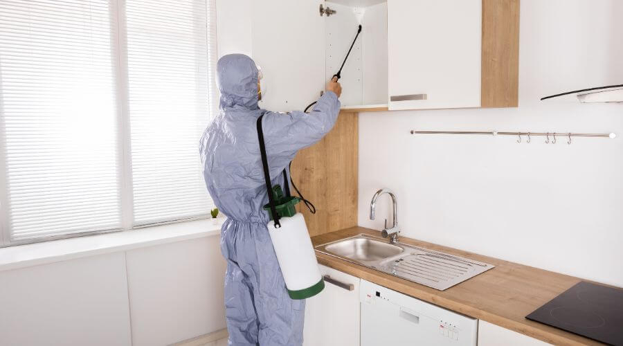 Professional rodent exclusion services in Tigertail Beach - Rodent Exclusion Tigertail Beach